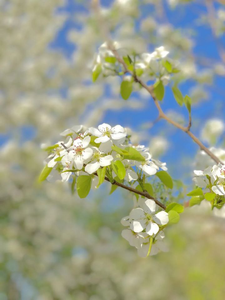 1627459457800175.jpg 640.webp (7).jpg