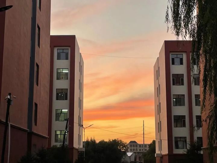 1635212438479546.jpg 640.webp (6).jpg