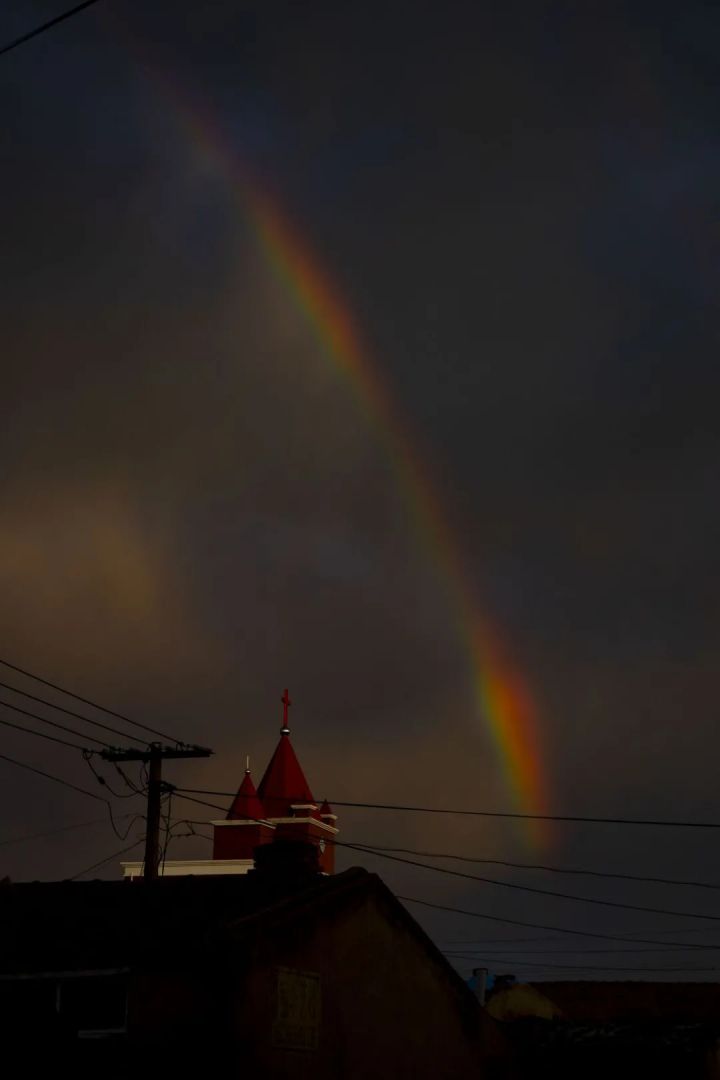 1627460018555583.jpg 640.webp (12).jpg