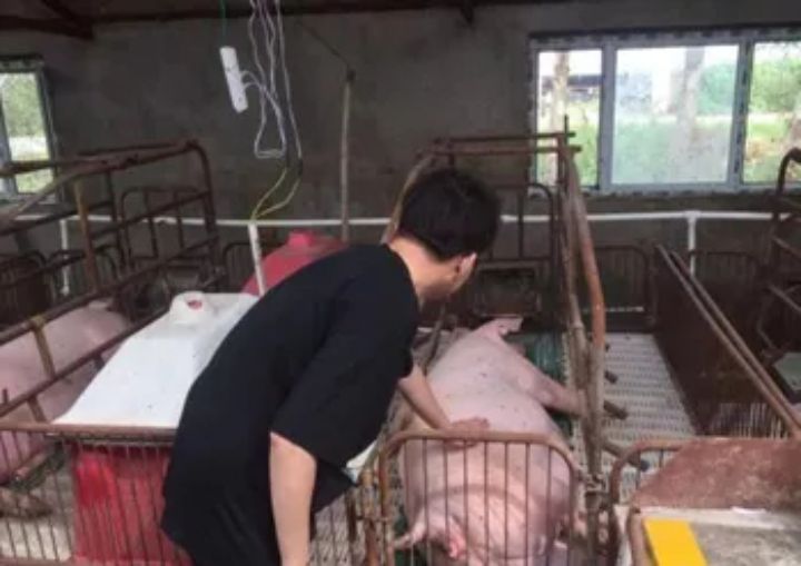 1630045358396322.jpg 640.webp (9).jpg