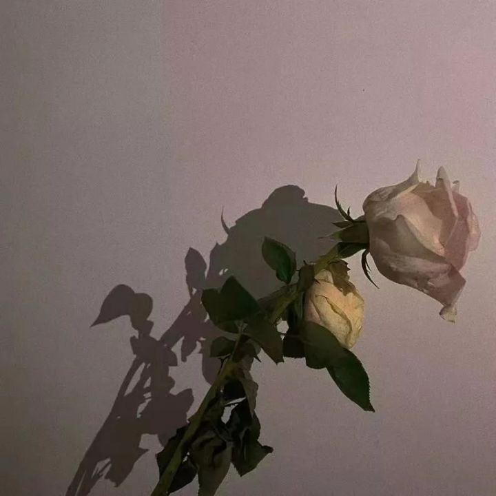 1638953262213394.jpg 640.webp (33).jpg