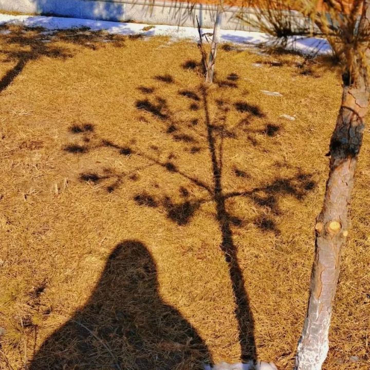 1639039450573656.jpg 640.webp (42).jpg