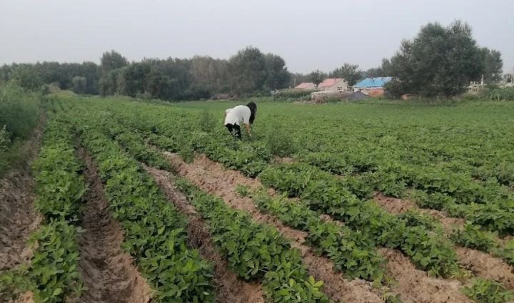 1630045303665744.jpg 640.webp (8).jpg