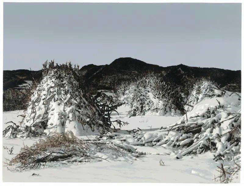 1600416153681408.jpg 003.jpg